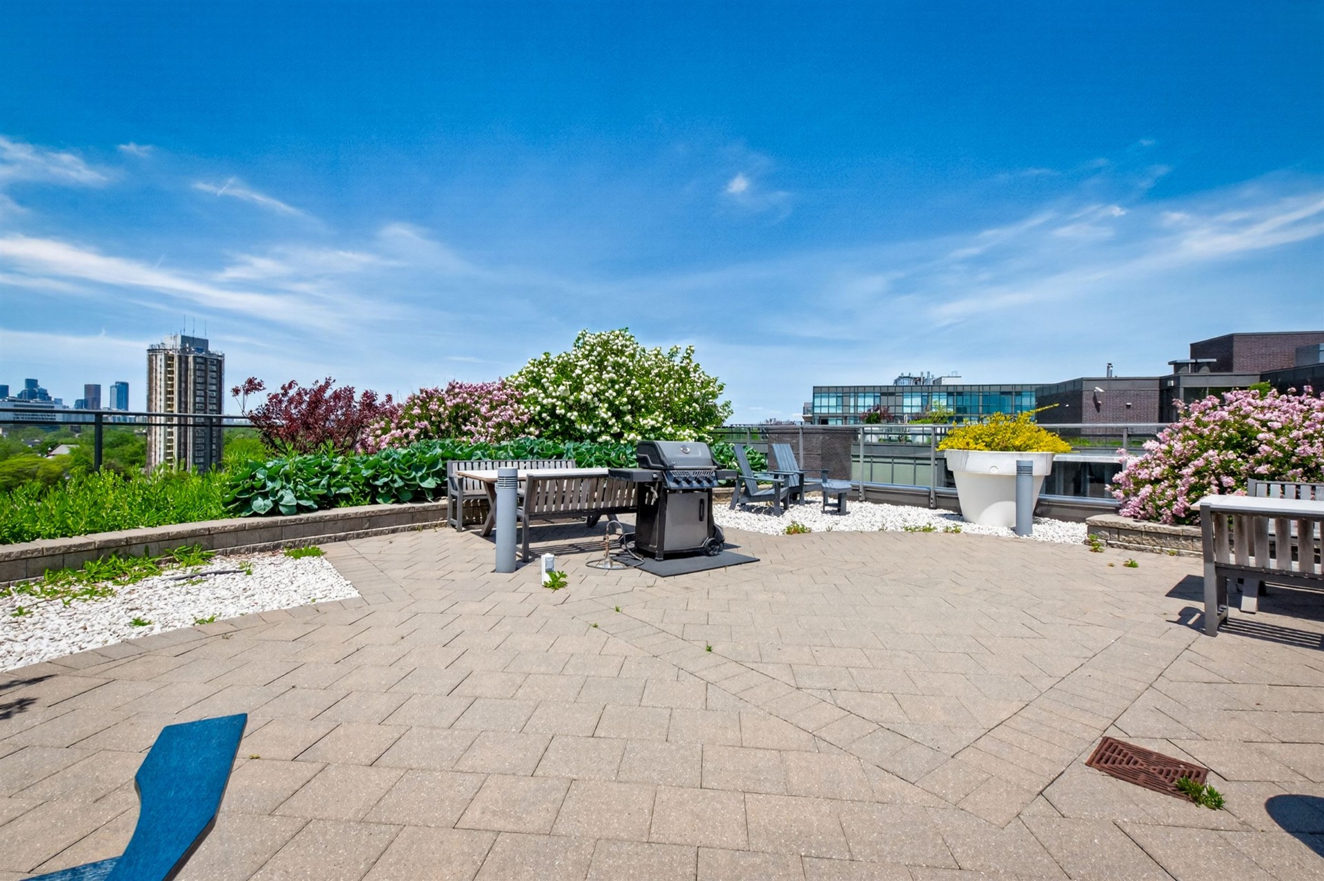 Building rooftop terrace with BBQ, seating and lush planters