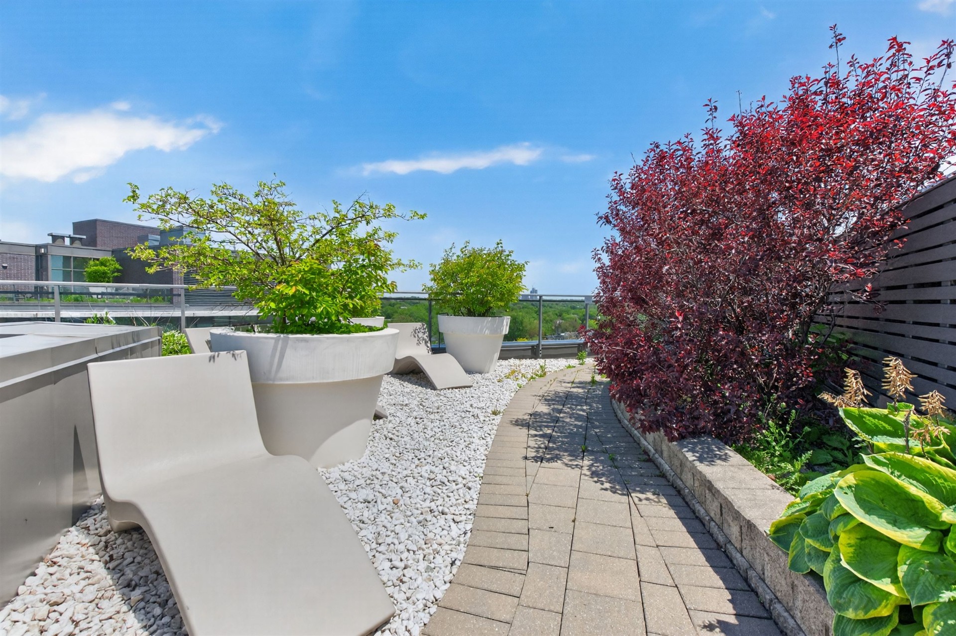 Rooftop garden path with lounge chairs and ornamental shrubs